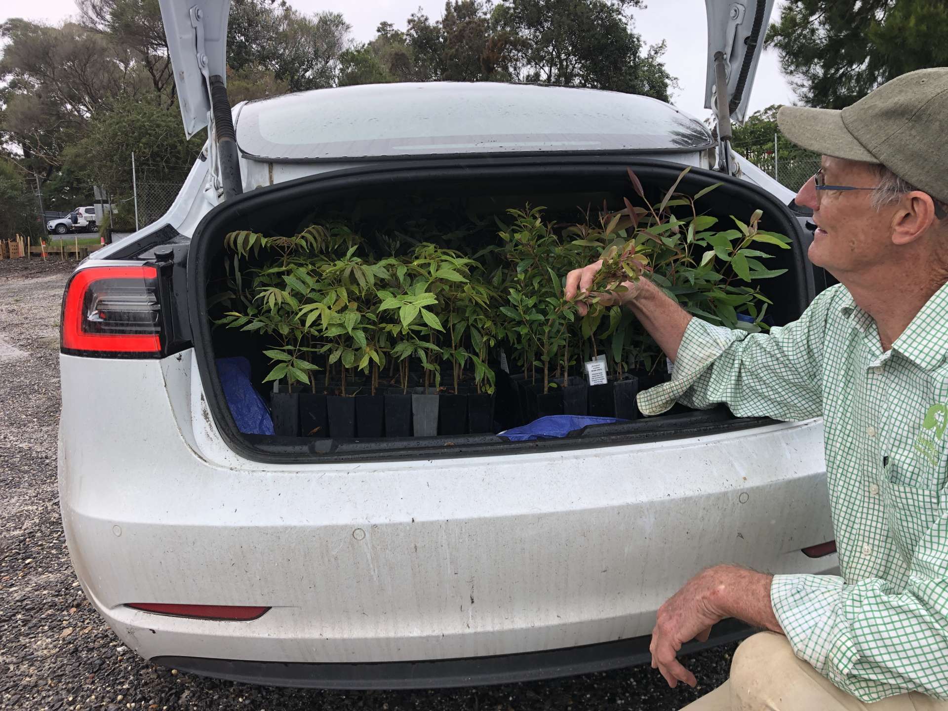 How many plants can you fit in a little Tesla?