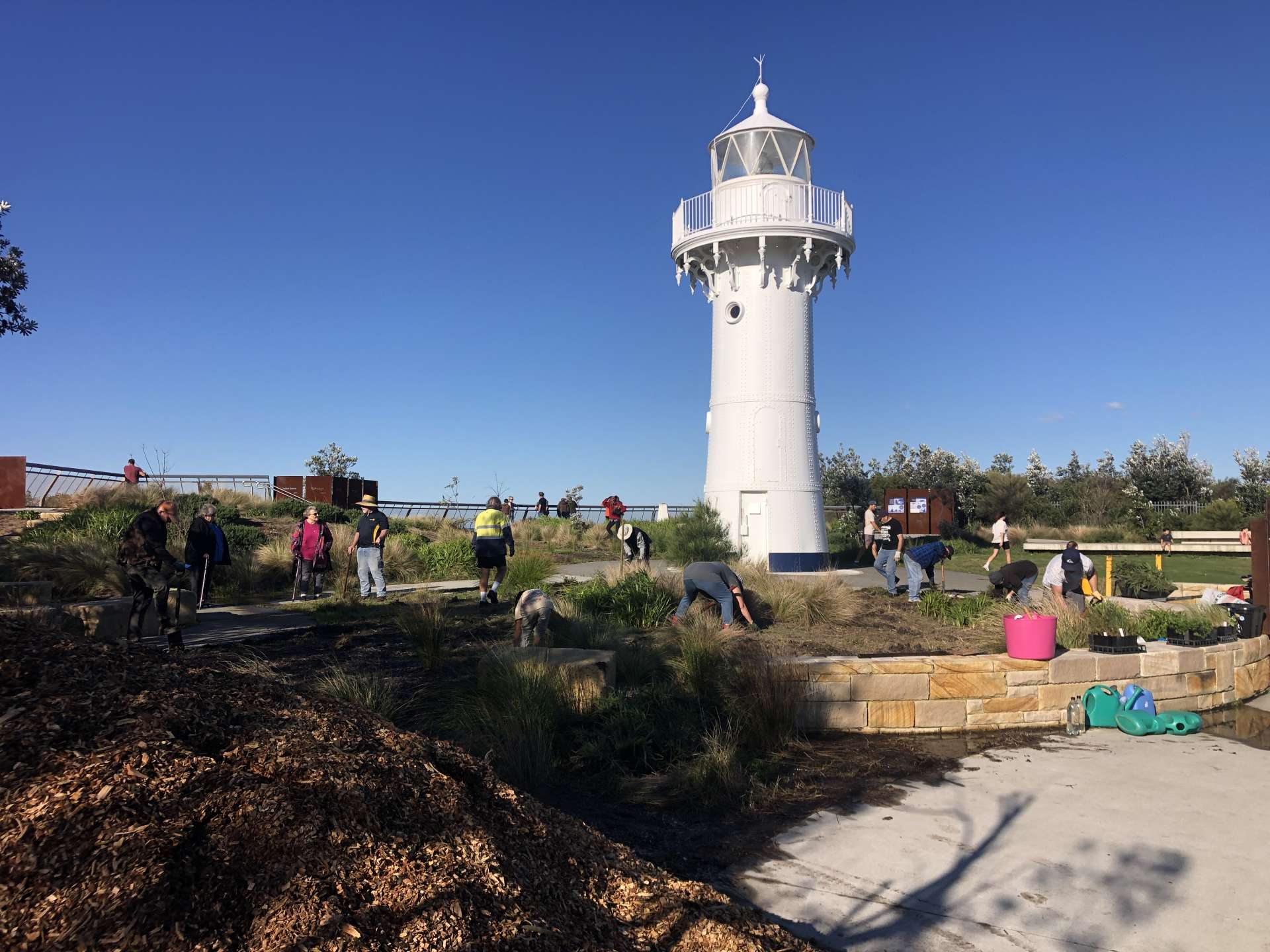 Ulladulla lighthouse planting May 2025