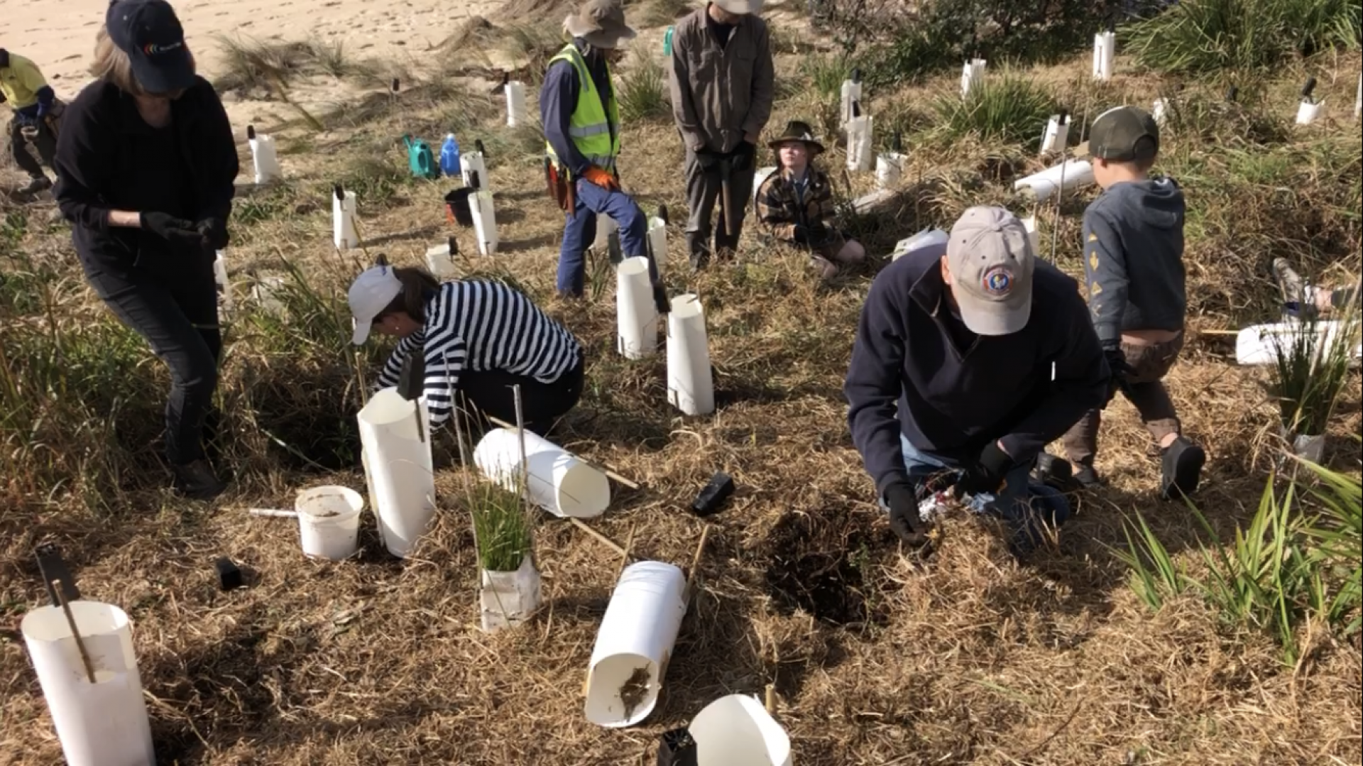 planting